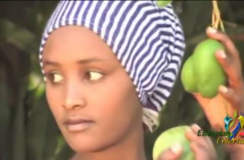 Abreham Belayneh - Shalaye (Ethiopian Music)